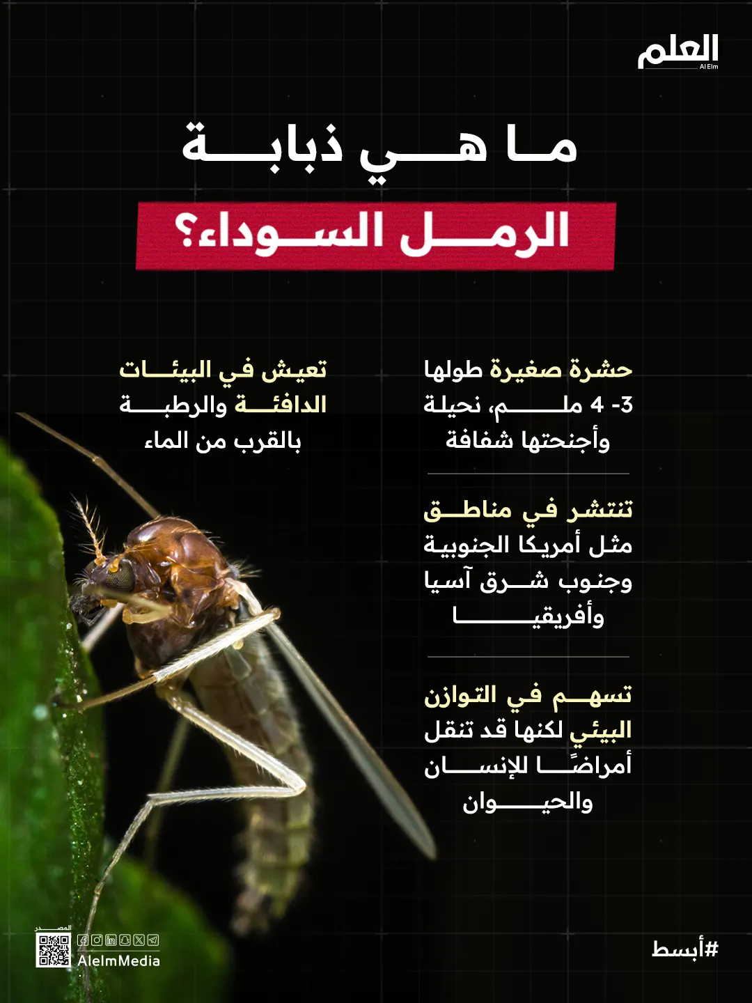 إنفوجرافيك| بعد وفاة طفل أردني.. ما هي ذبابة الرمل السوداء؟