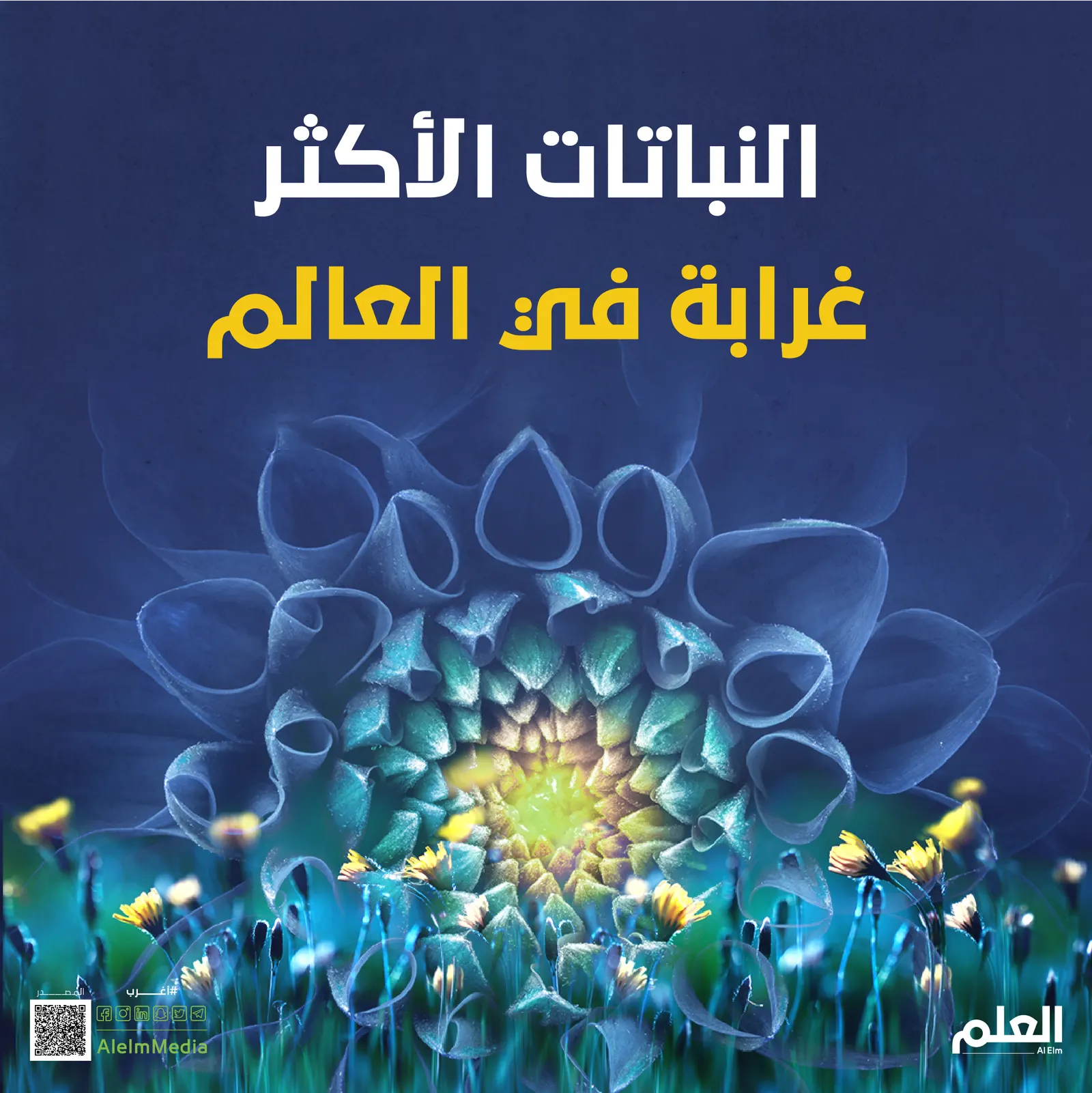 النباتات الأكثر غرابة في العالم