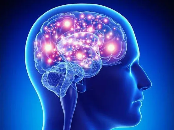لماذا يعتبر الدماغ هو المسؤول الرئيسي عن خسارة الوزن؟