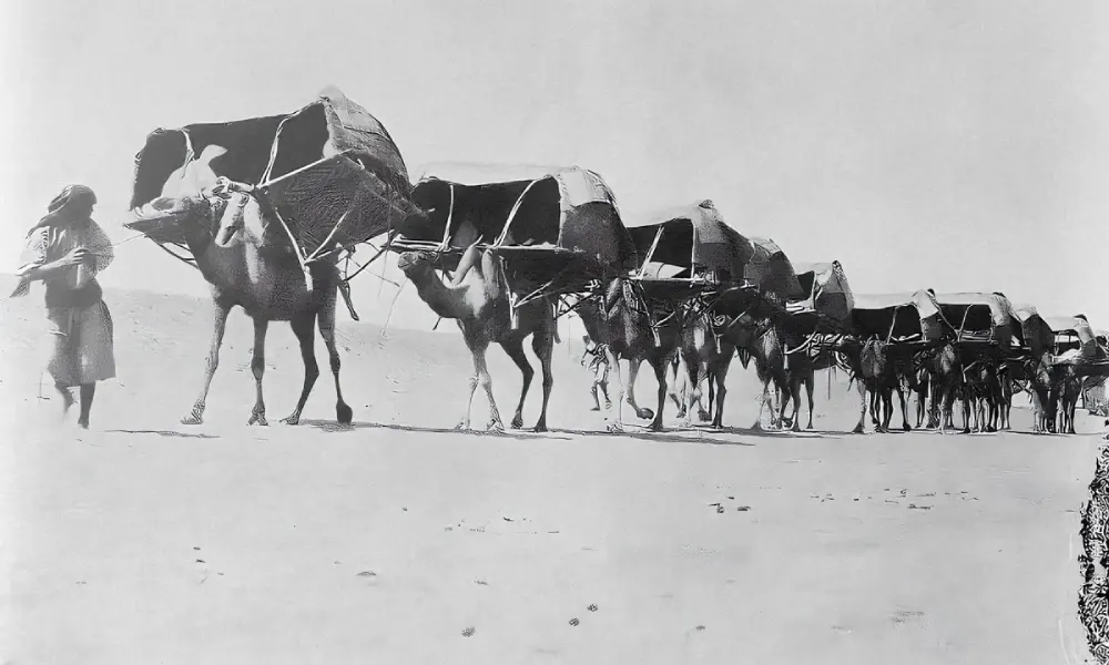 محمل الحج الشامي.. رحلة تاريخية من الطقوس إلى مكة