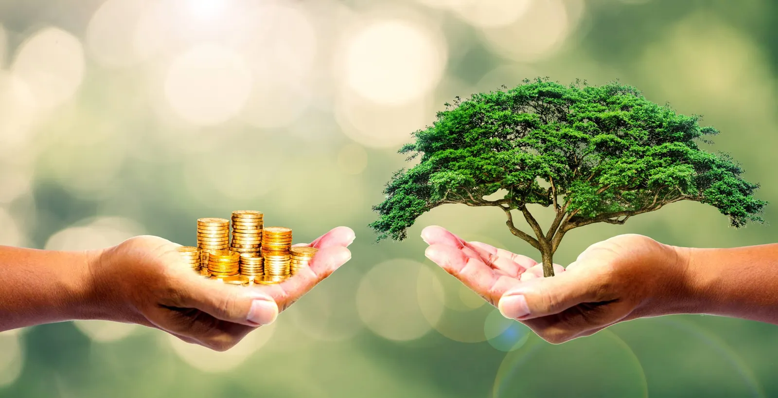 أثرياء العالم يحاولون إنقاذ الأرض بطريقتهم.. 3 مبادرات بالمليارات للاستثمار الأخضر