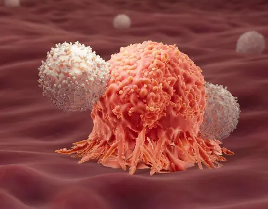 عندما تنتهي الخلايا السرطانية، عادة ما تصبح أغشيتها معرضة للخطر، كما يحدث في موت الخلايا المبرمج، وهو الذي يزيل الخلايا غير الضرورية أو التالفة من الجسم.