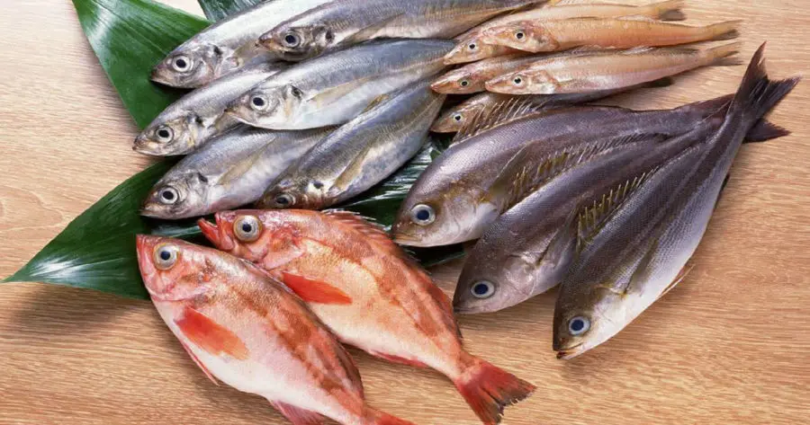 هناك حاجة لمزيد من الأدلة لتوضيح الدور المحتمل لتناول الأسماك الصغيرة في تقليل خطر الوفاة
