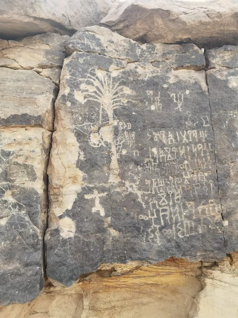 الجزيرة العربية