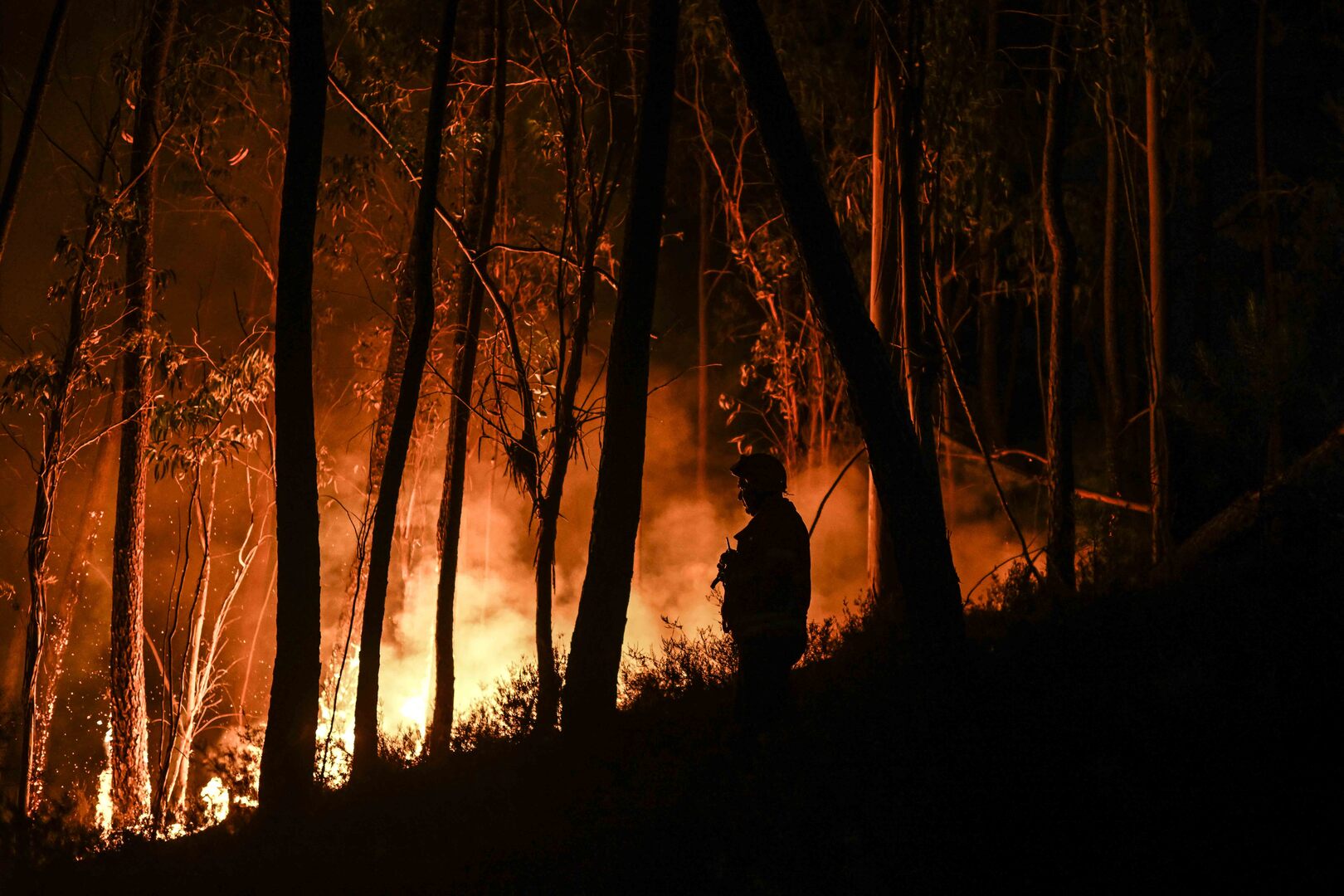 أكبر حرائق الغابات في التاريخ