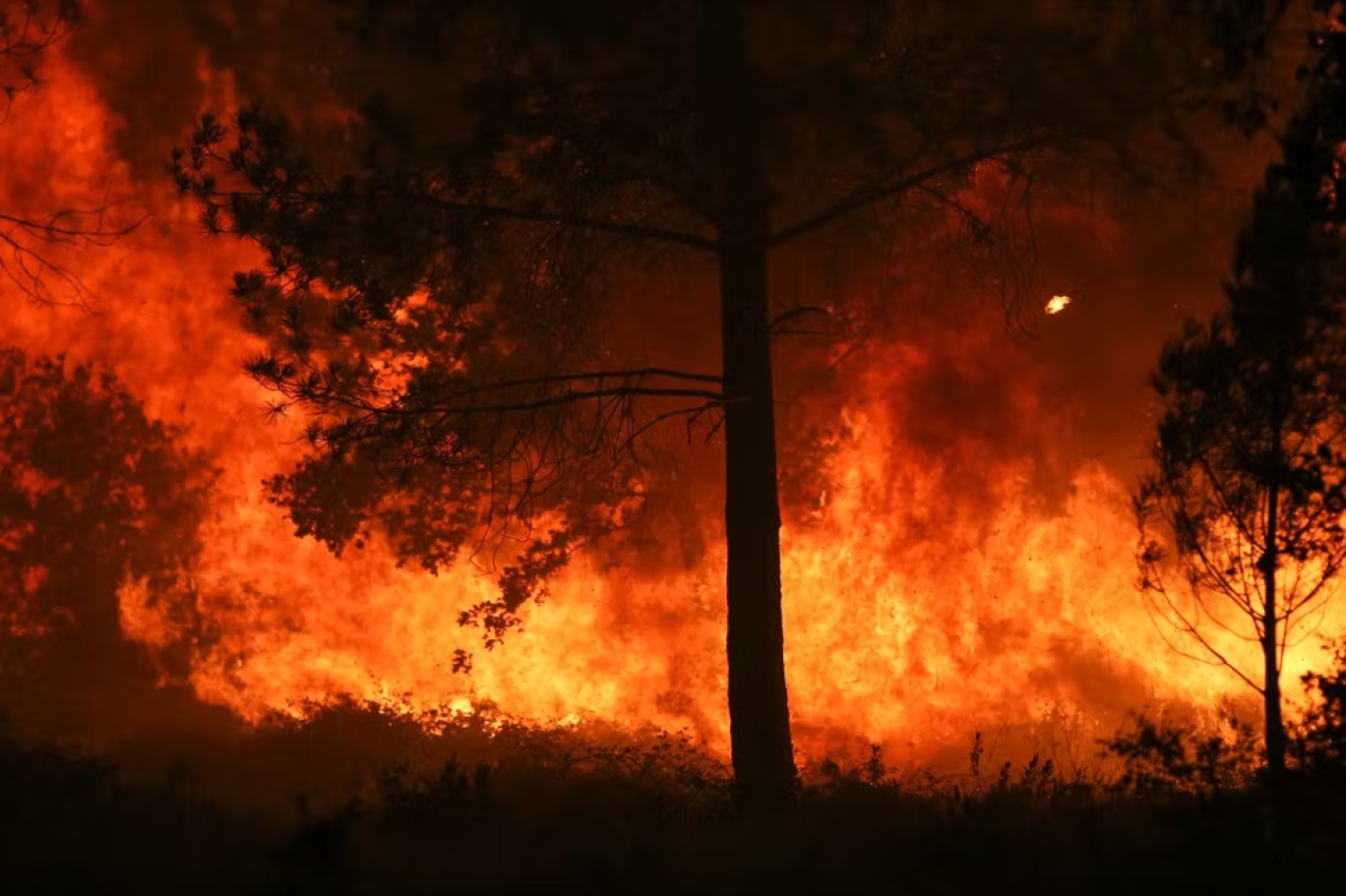 أكبر حرائق الغابات في التاريخ