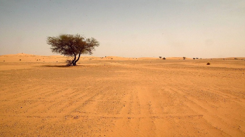 صحراء الأنبار