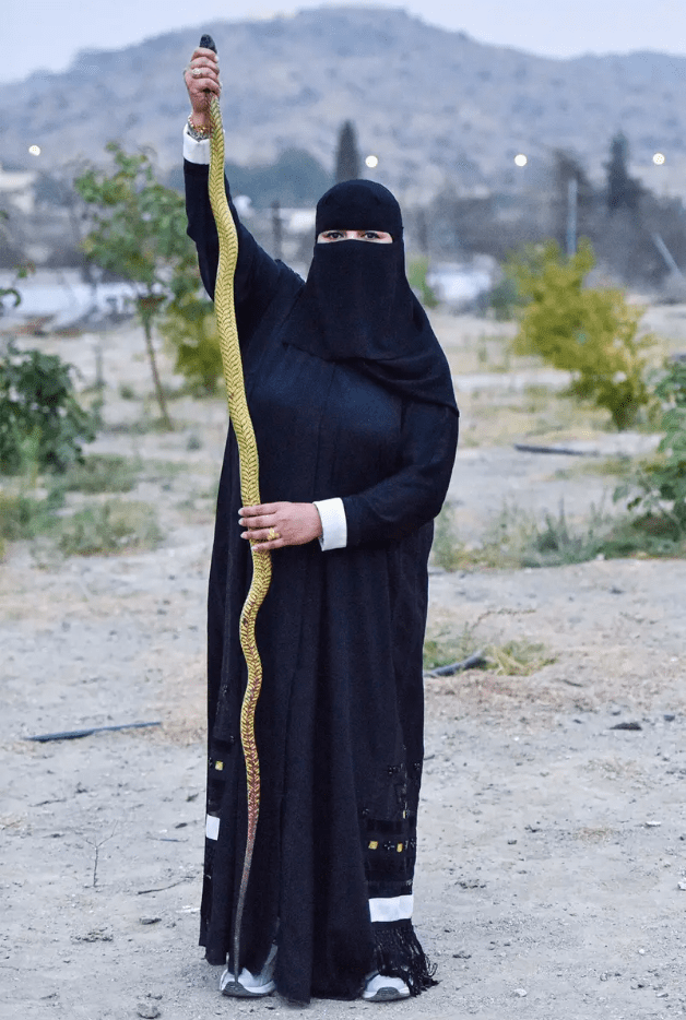 الكوبرا العربية