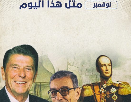 الأسطول المصري