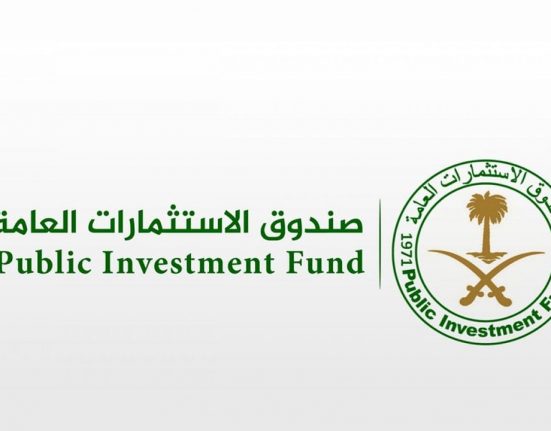 إنجازات صندوق الاستثمارات العامة