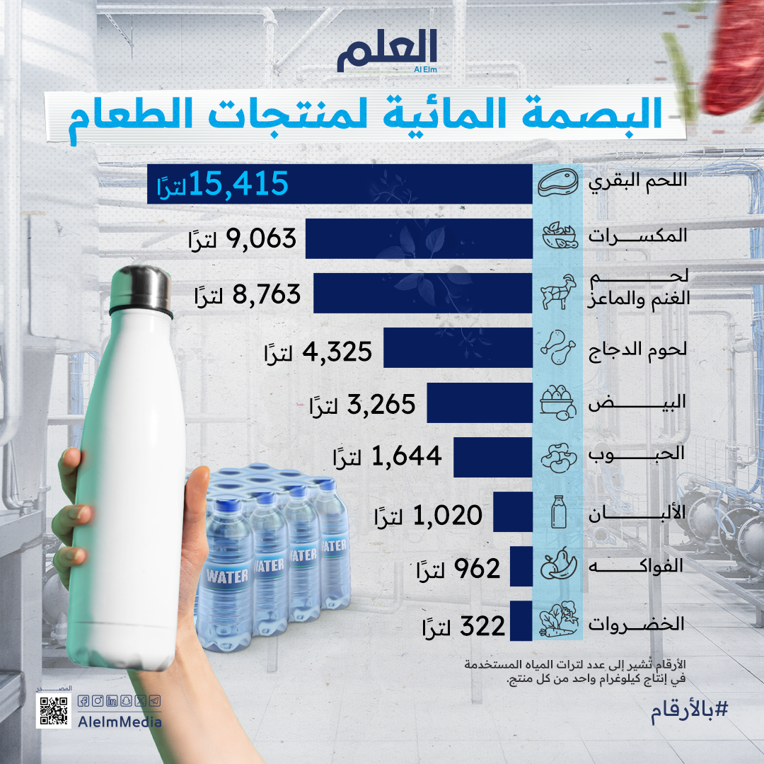 البصمة المائية