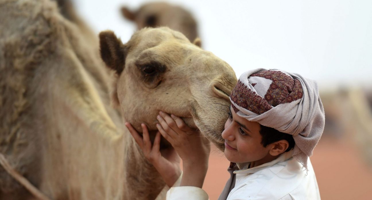 الهوبال فن اشتهر