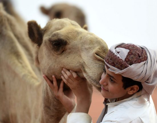 الهوبال فن اشتهر