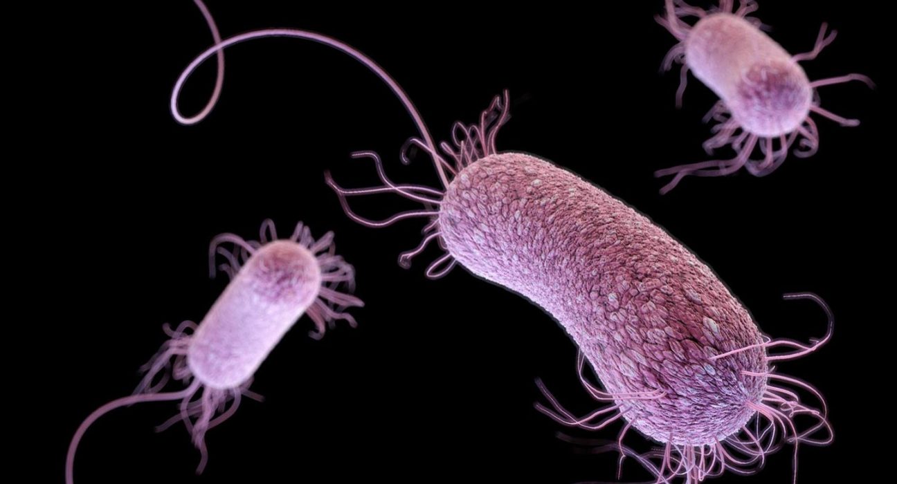 أنظمة معقدة من الميكروبات