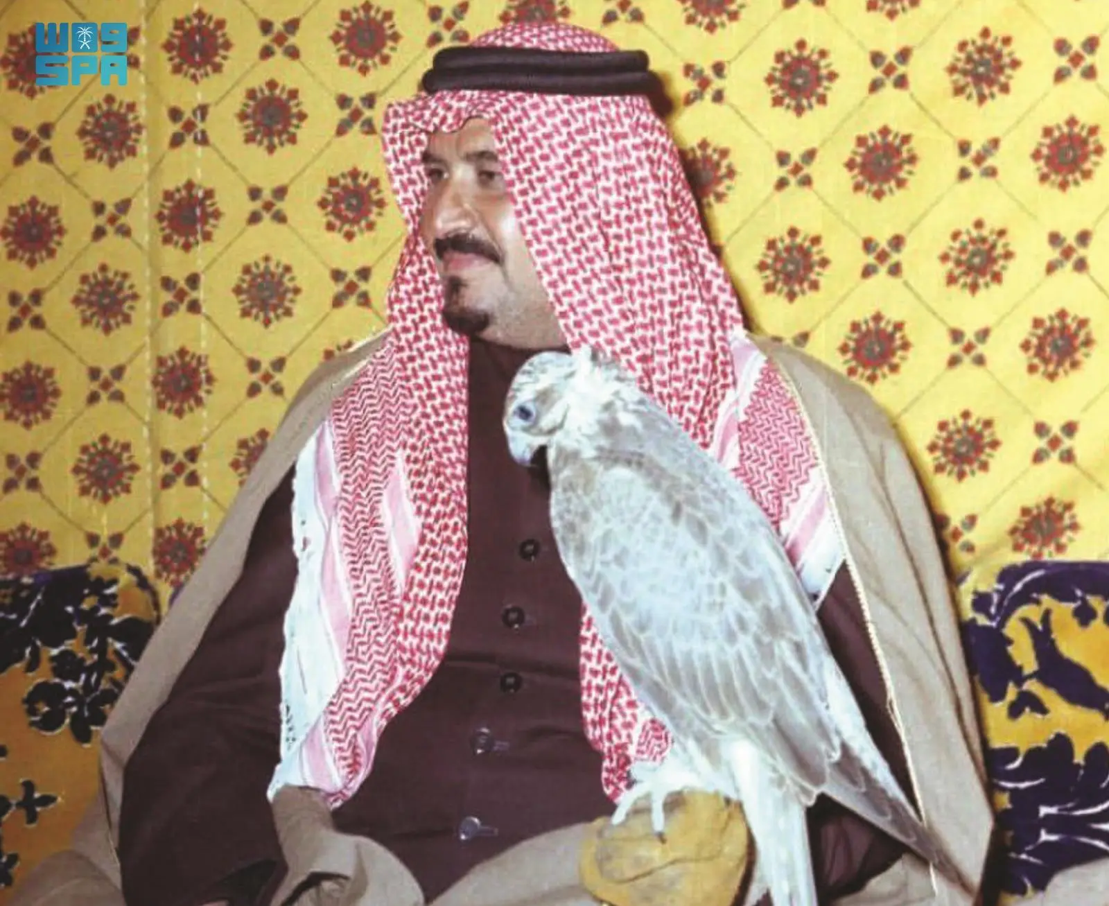 نادي الصقور السعودي