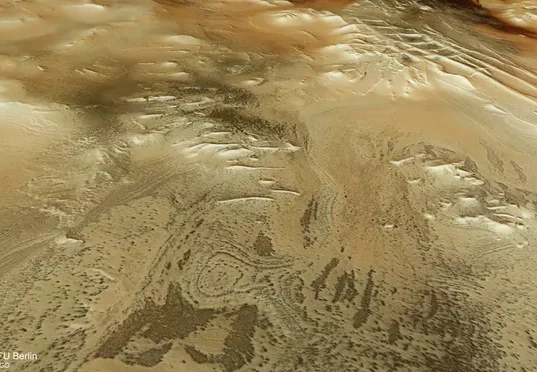 حقيقة-ظهور-عناكب-على-سطح-المريخ