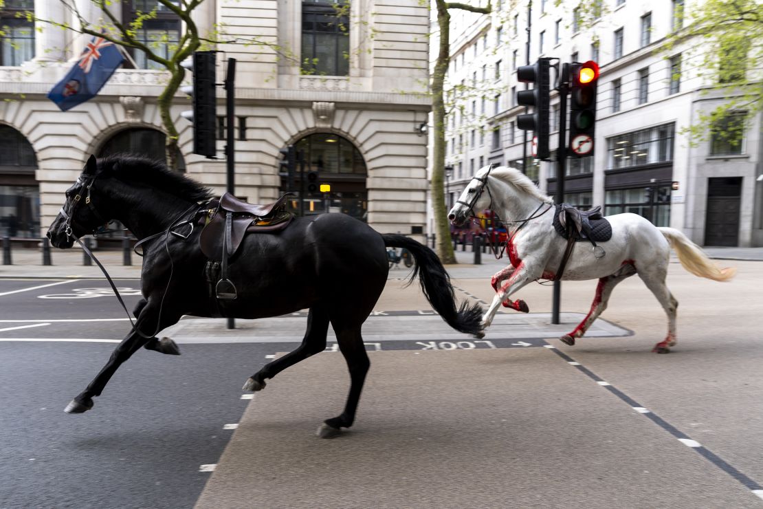 شاهد.. الفوضى تعم وسط لندن بسبب الخيول الهاربة