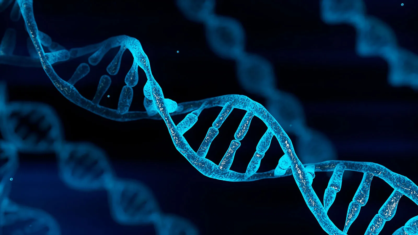 Uncovering the Genetic Legacy of Neanderthals: Influence on Well being and Evolution