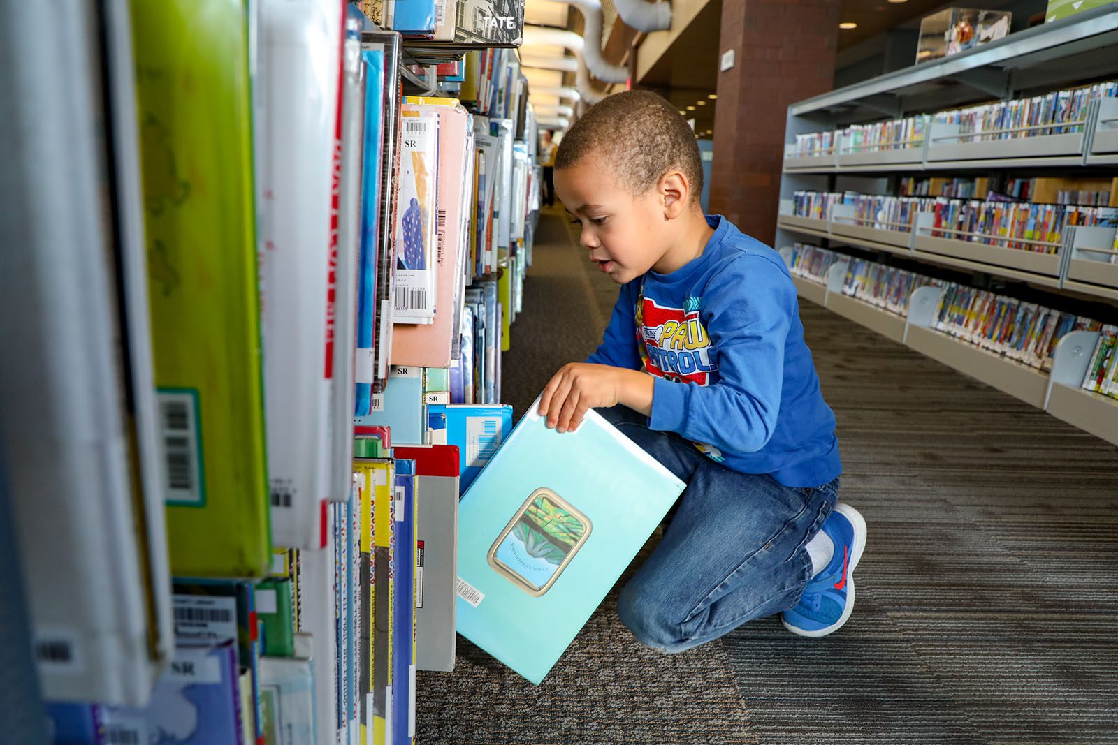 Science | 10 useful scientific books for children and young people