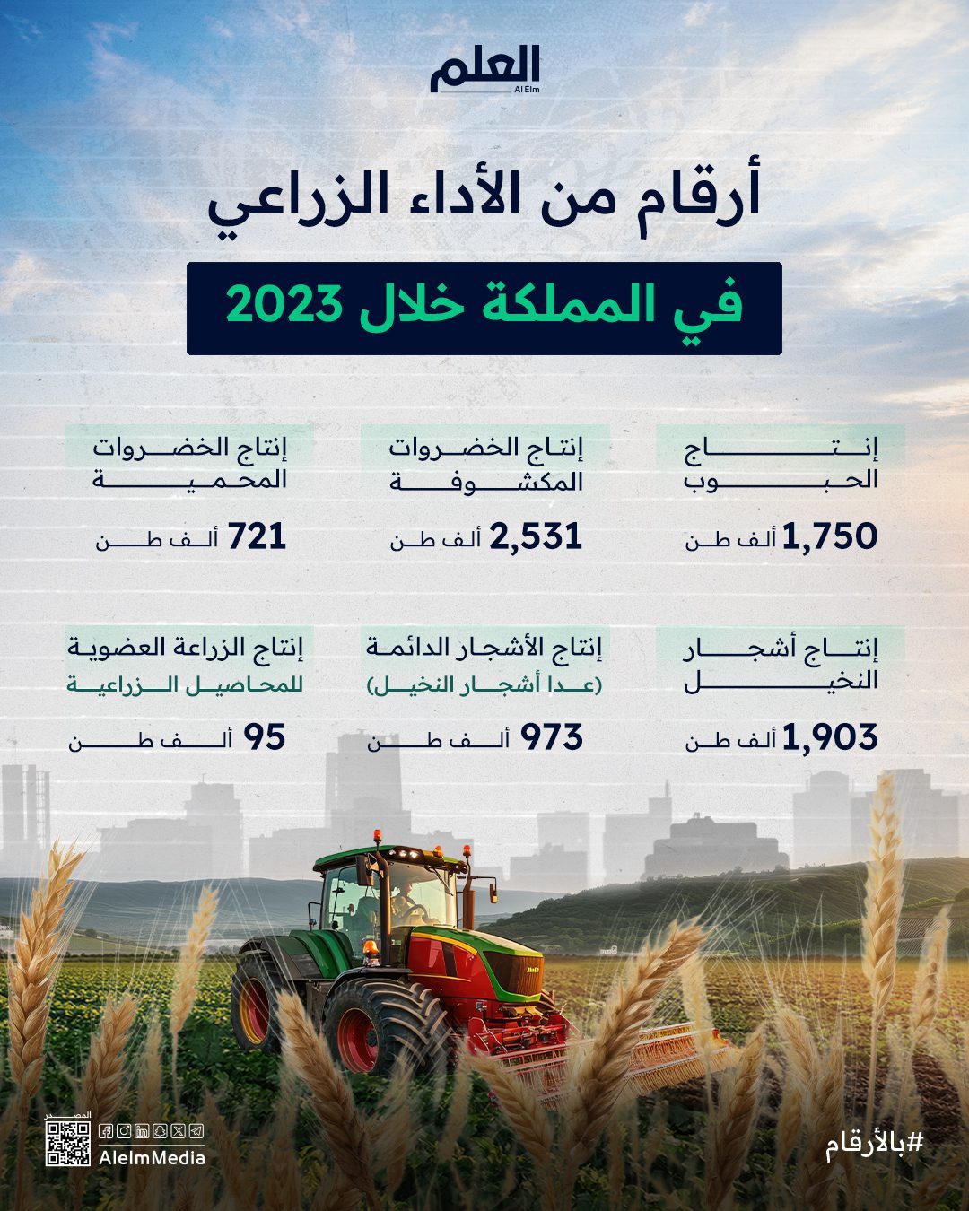 القمح يتصدر المساحات المزروعة في المملكة في 2023