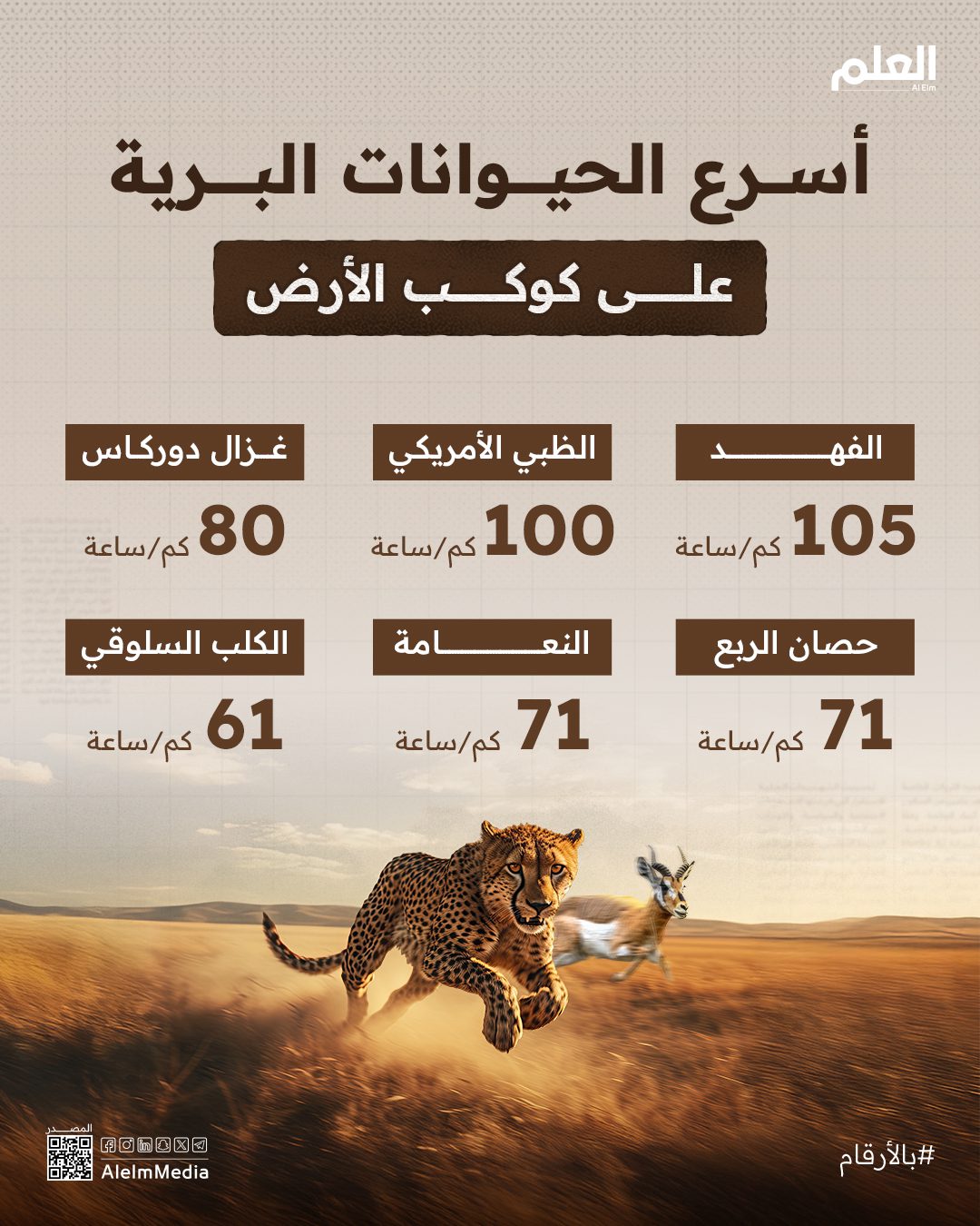 الحيوانات البرية