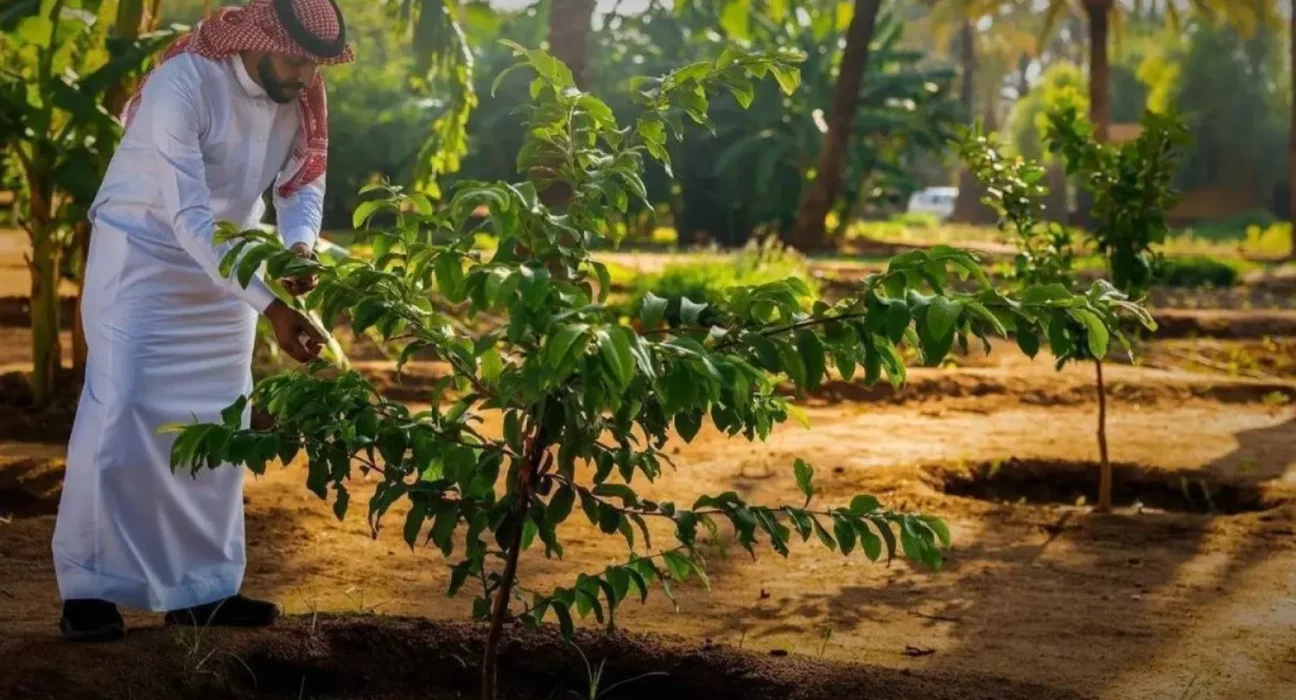 "COP16" ينطلق في الرياض تحت شعار "أرضنا – مستقبلنا"